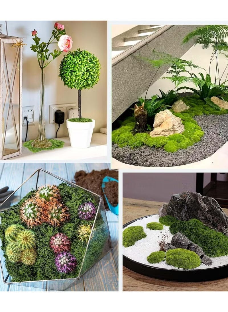 100g Moss Grass Perfectly Simulates Artificial Moss Fake Green Grass for Centerpieces Home Kitchen Garden Decor Preserved Forest Moss - Image 2